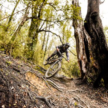 Nelson mountain bike tour