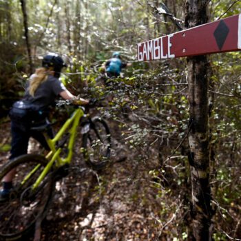 Nelson mountain bike tour advanced