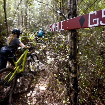 Nelson MTB tour