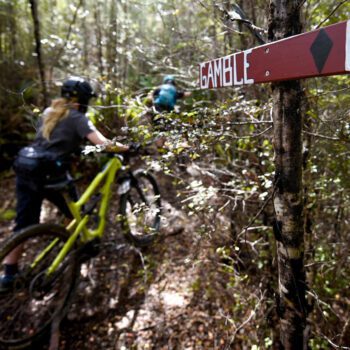 Nelson Mtb Tour