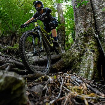 Nelson Mountain bike tour