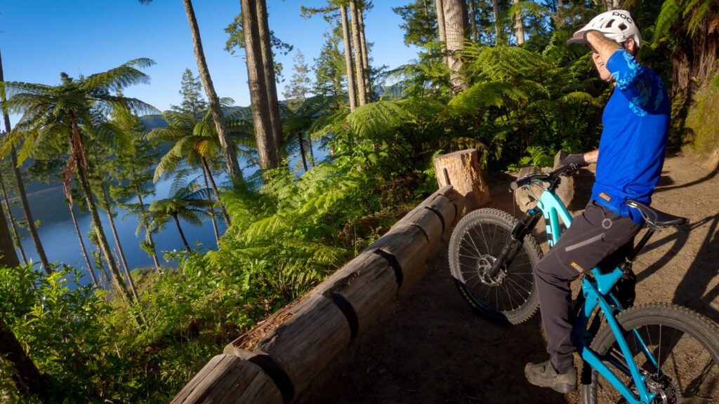 Whakarewarewa forest loop