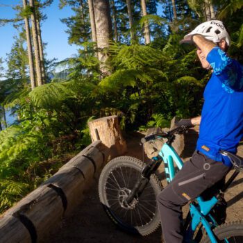 Whakarewarewa Forest Loop