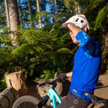 whakarewarewa forest loop