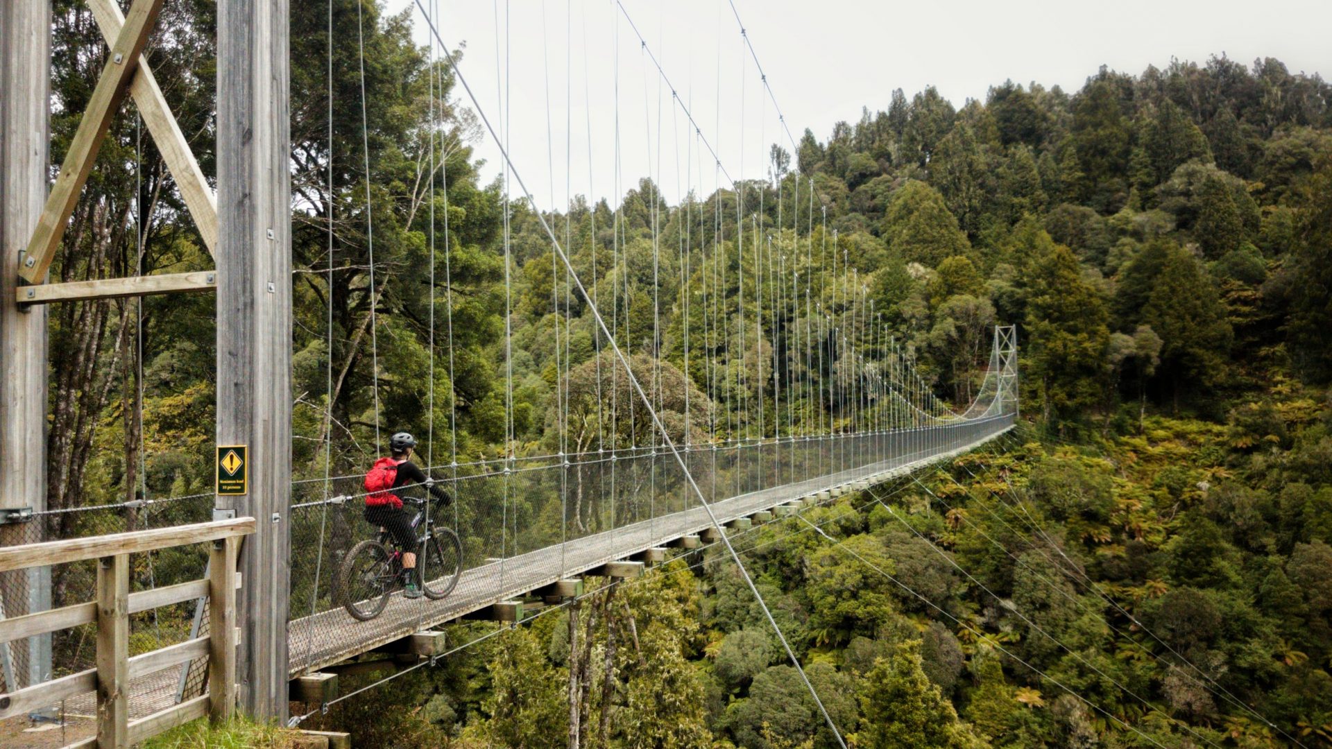 Riding the Timber Trail NZMTB