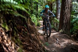 Mountain Biking Skills Rotorua