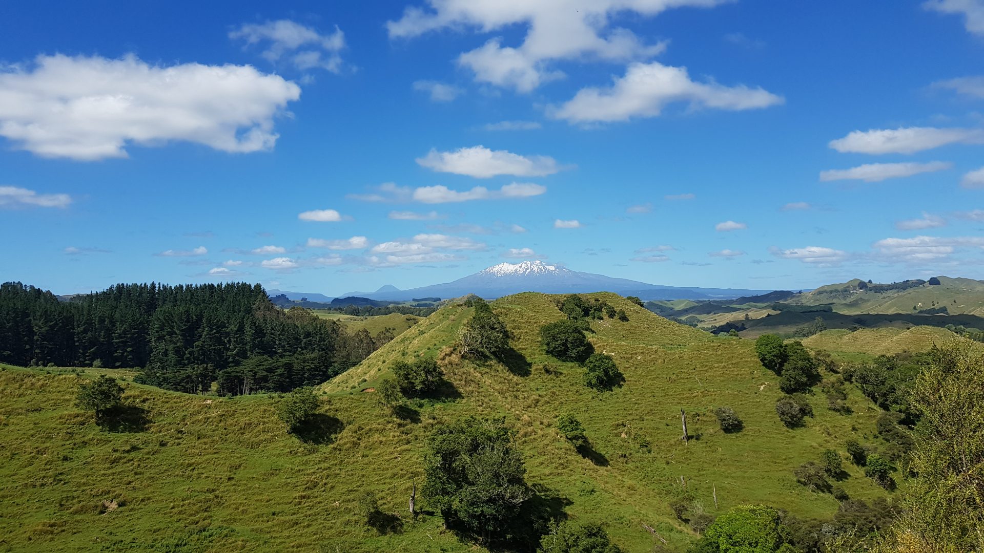 Central North Island Mountain Biking