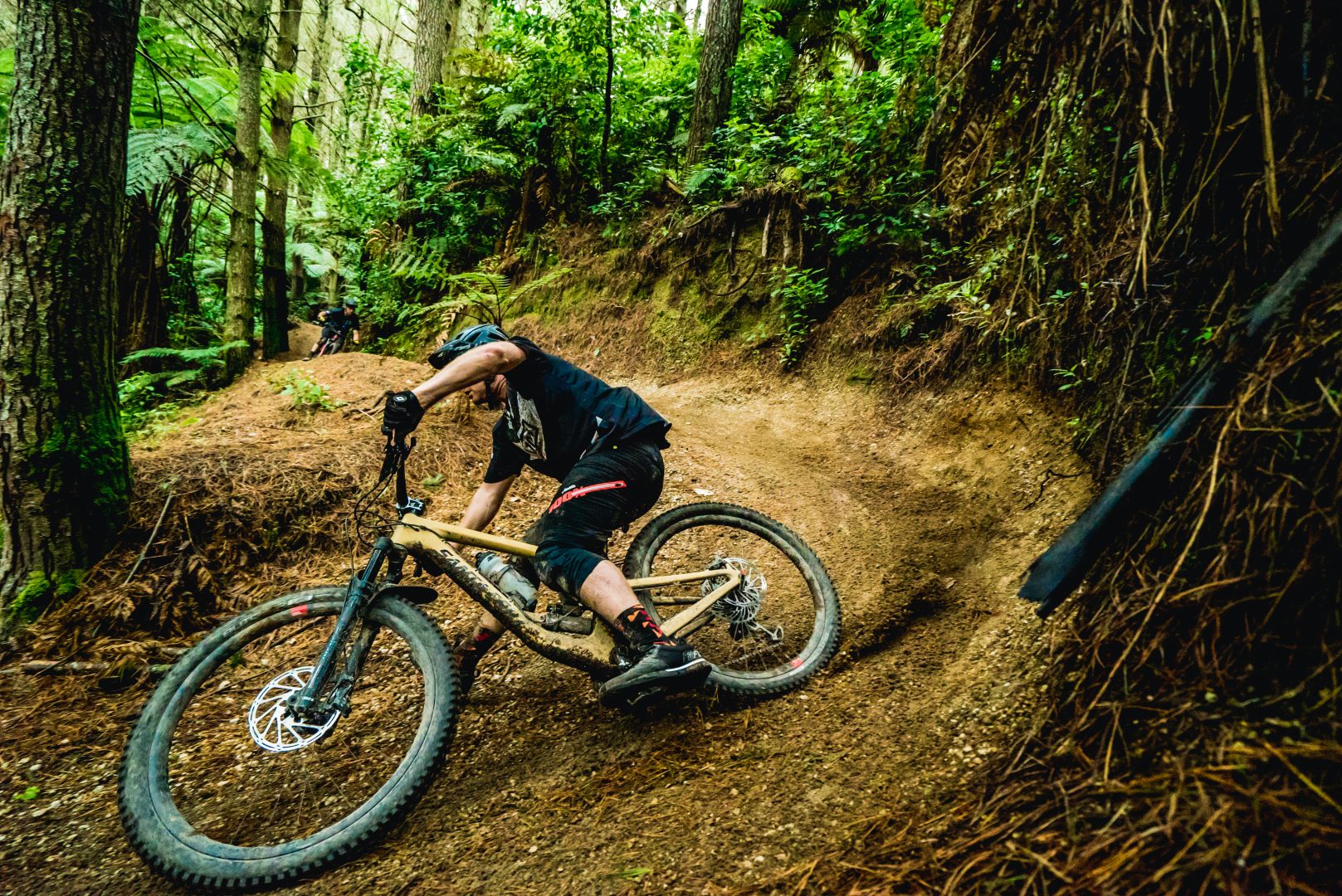 best place to buy mountain bike online