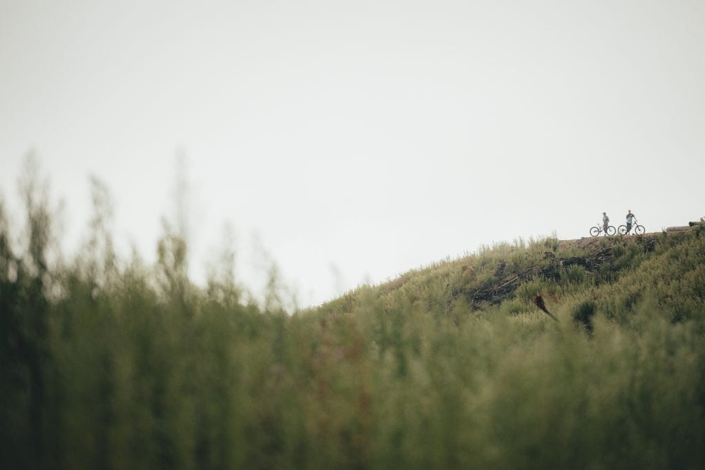 Mike Dawson Photography - Rotorua