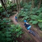 Rotorua Mountain Biking