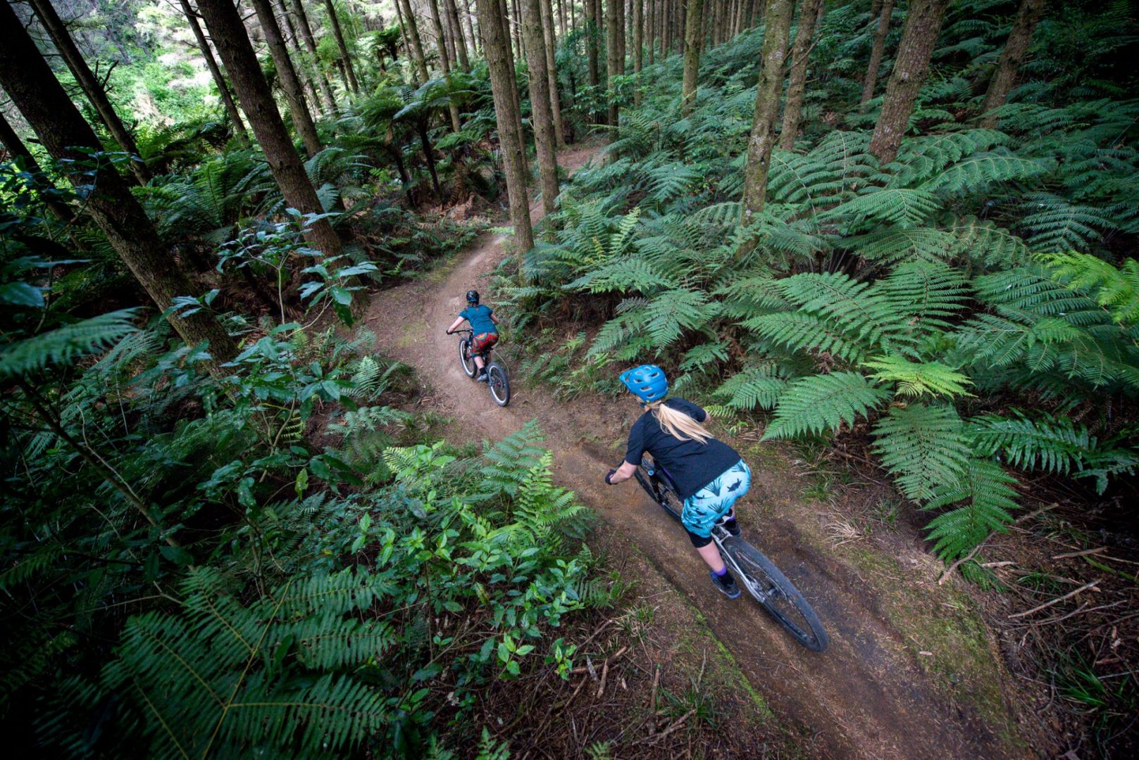 Rotorua Mountain Biking Trail Map NZMTB