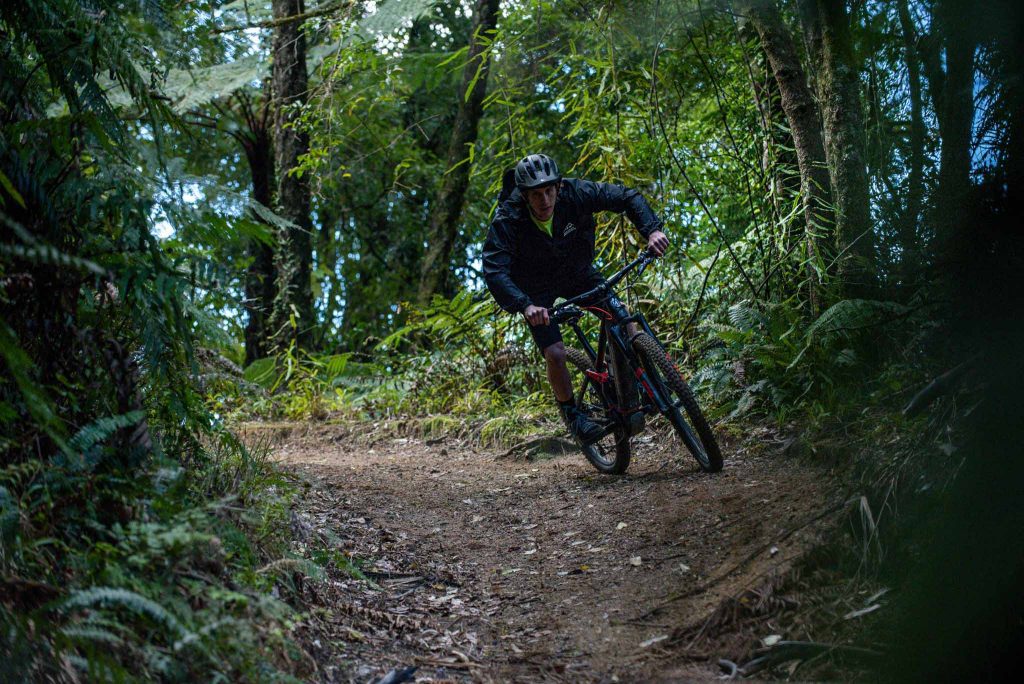 Timber Trail NZ