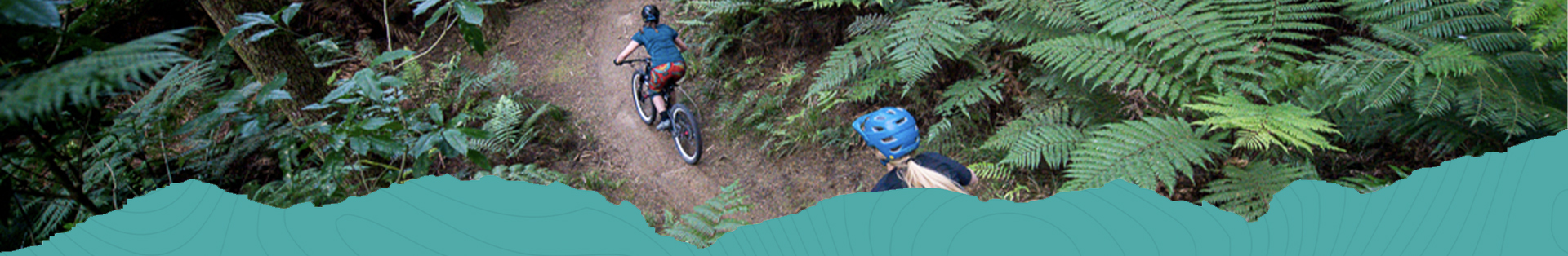 New zealand mountain biking