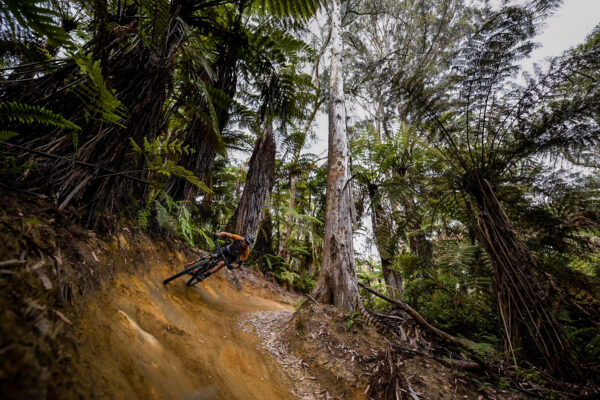 Rotorua Epic mountain biking