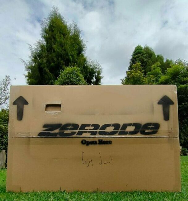 New Arrival - Zerode Katipo in the box